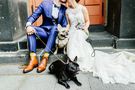 Ehepaar mit Hunden bei der Hochzeit – gesehen bei frauimmer-herrewig.de