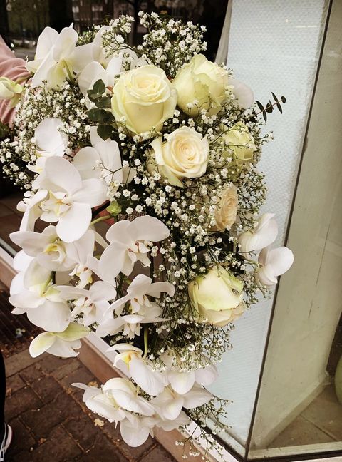 Blumen Viña