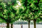 Hochzeitsfotos am Rhein – gesehen bei frauimmer-herrewig.de
