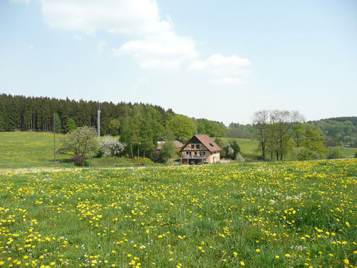  – gesehen bei frauimmer-herrewig.de