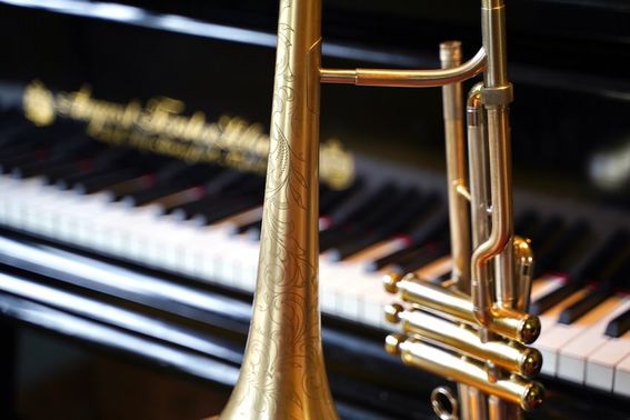 Brüder Meyers Musikinstrumente – gesehen bei frauimmer-herrewig.de