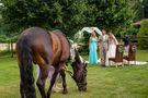 Freie Trauung mit Pferd Butterfly Wedding Events – gesehen bei frauimmer-herrewig.de
