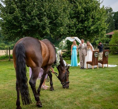 Freie Trauung mit Pferd Butterfly Wedding Events – gesehen bei frauimmer-herrewig.de