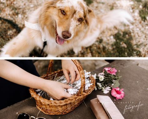 Hochzeitsfotograf duesseldorf katharinacolettefotografie 11 – gesehen bei frauimmer-herrewig.de