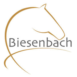 Hochzeitskutschen Biesenbach