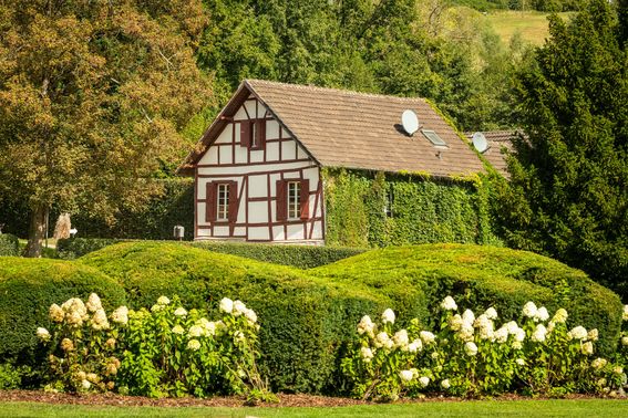 Parkanlage von Schloss Auel – gesehen bei frauimmer-herrewig.de