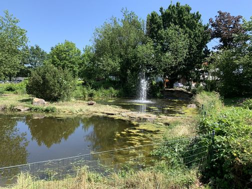 Garten Eden Industrial Hochzeit Location 01 – gesehen bei frauimmer-herrewig.de