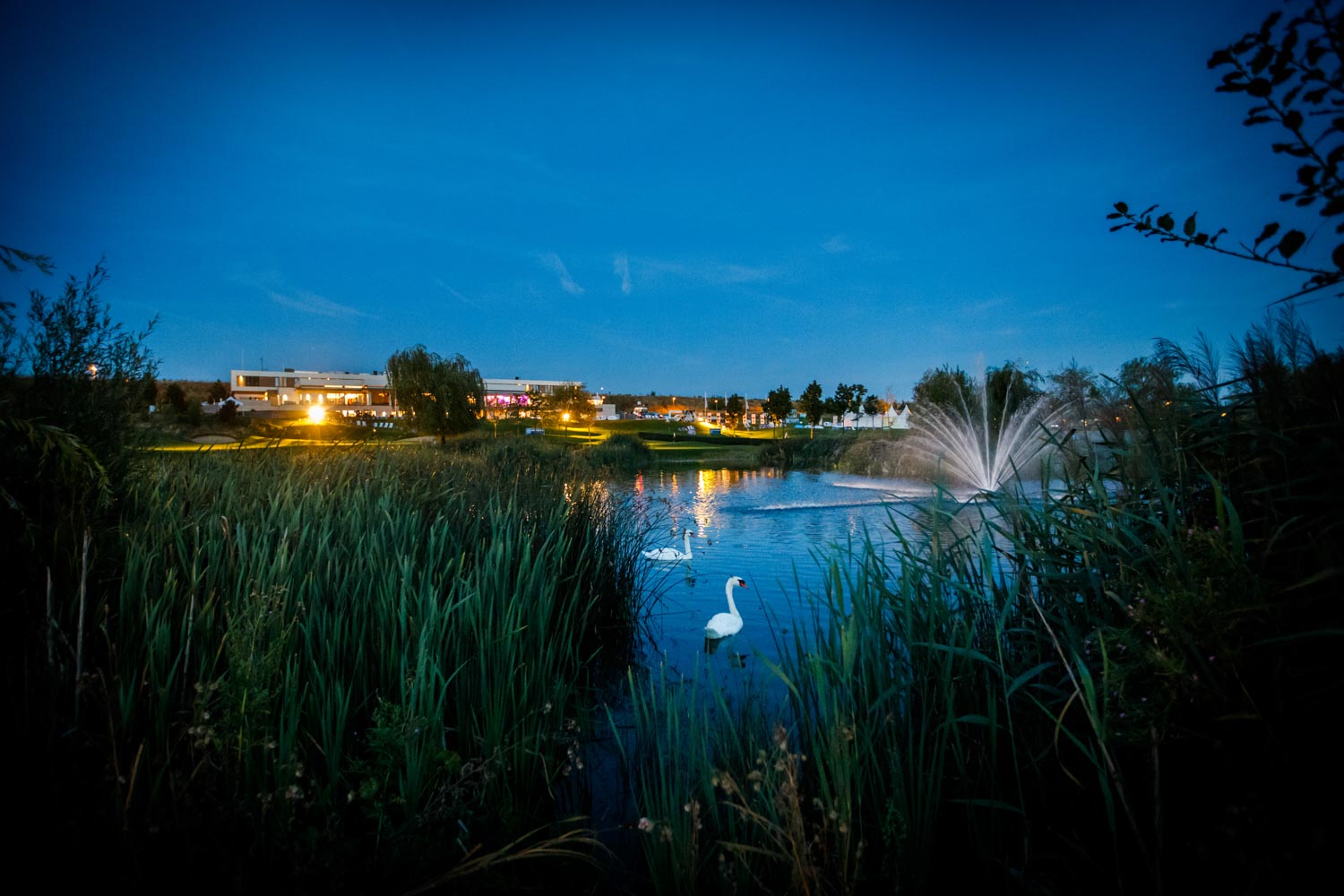 Angela und Ole Storyteller Hochzeitsfotograf Golfclub Koeln 35 – gesehen bei frauimmer-herrewig.de