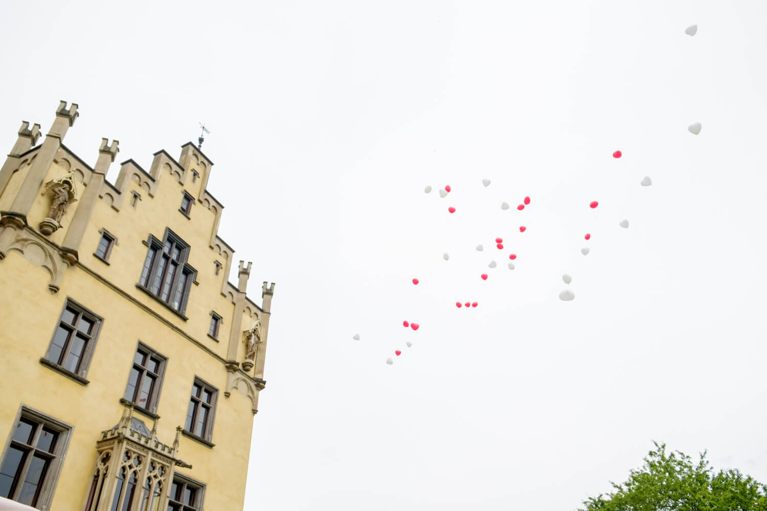 Hochzeitsfotograf Koeln Bonn Schloss Arenfels Angela Krebs 49 – gesehen bei frauimmer-herrewig.de