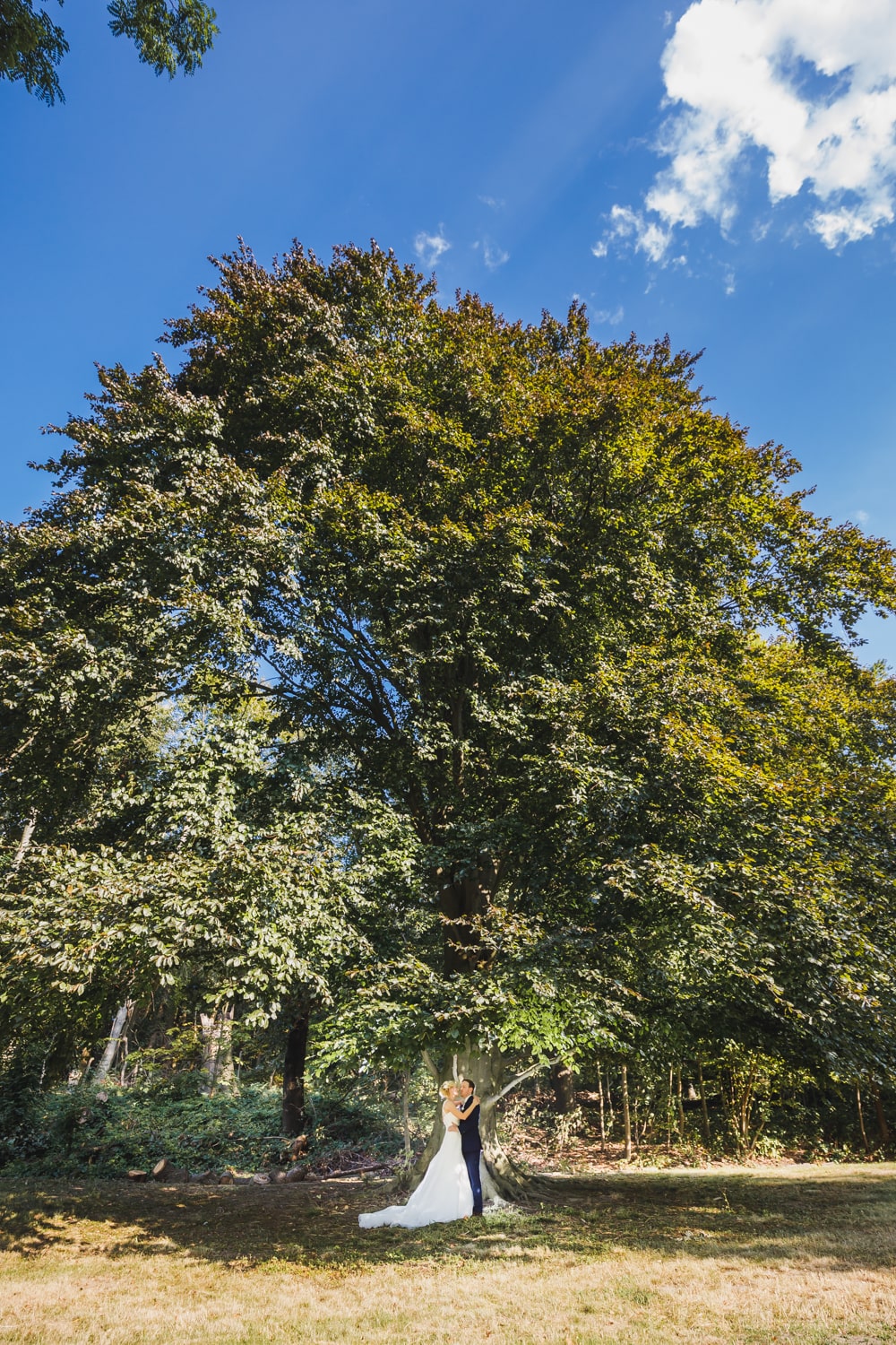 Hochzeitsfotoshooting unter großem Baum – gesehen bei frauimmer-herrewig.de