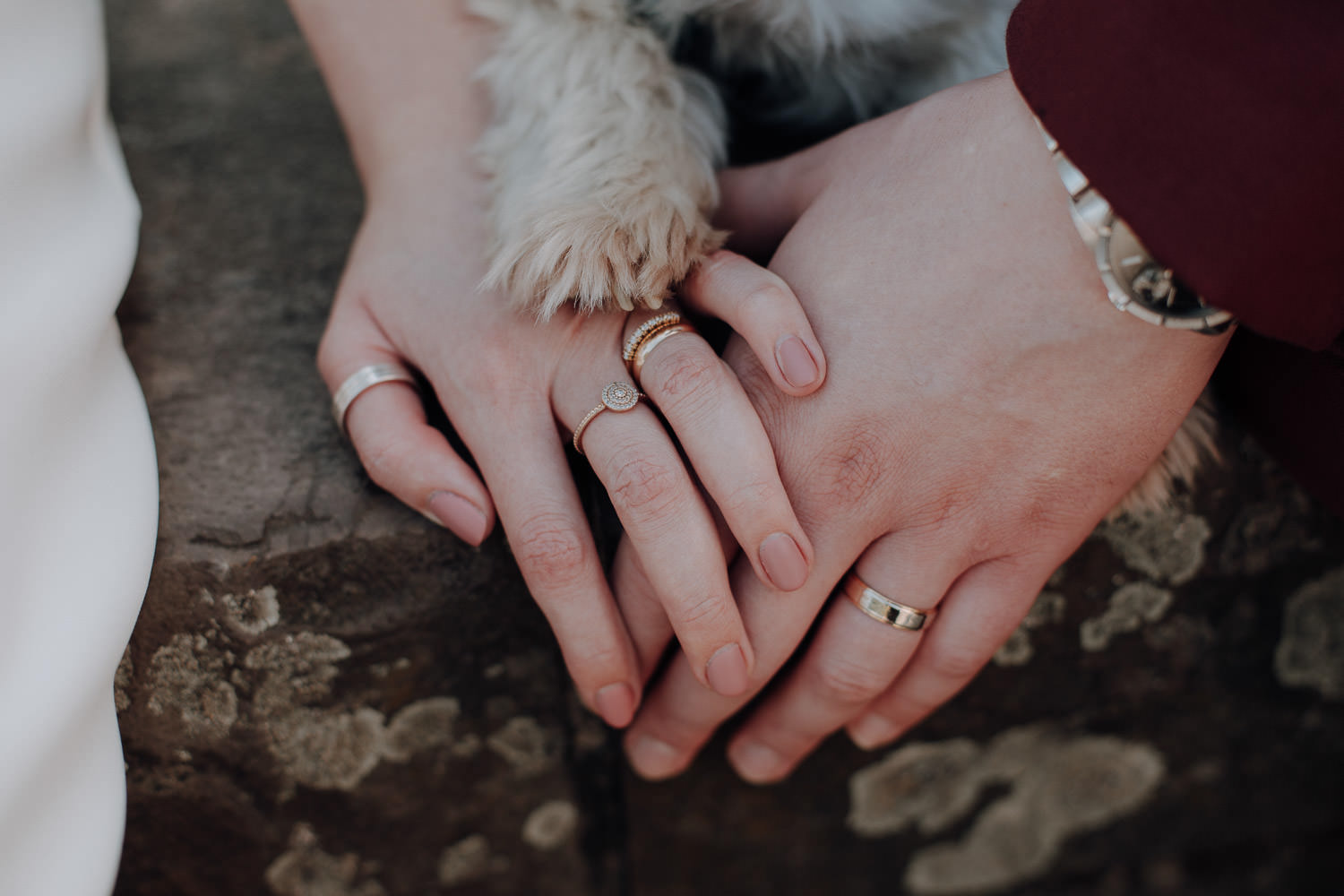 Hochzeitsfotoshooting mit Hund – gesehen bei frauimmer-herrewig.de