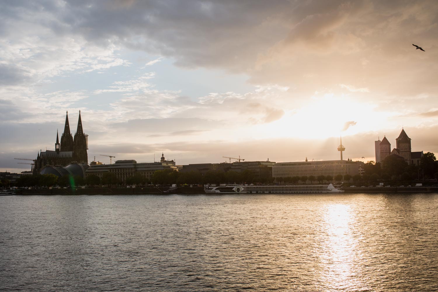 Rheinblick Kölner Dom – gesehen bei frauimmer-herrewig.de