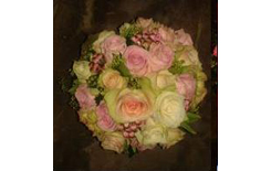 Blumen Helga