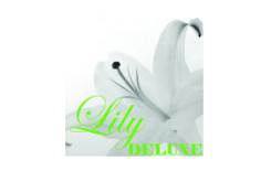 Lily deluxe Blumen