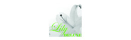 Lily deluxe Blumen