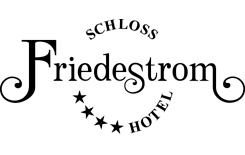 Hotel Schloss Friedestrom