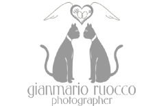 Gianmario Ruocco photographer