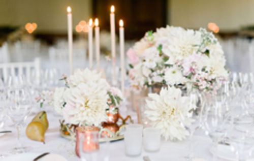 Irina Thiessen Weddings - Fine Art Weddings
